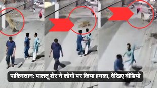 PET LION PAKISTAN NEWS | lion attacked women | lahore |