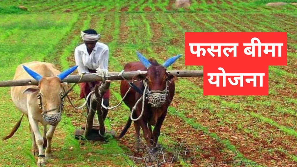 PM Fasal Bima Yojana PM Fasal Bima Yojana