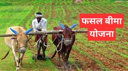 PM Fasal Bima Yojana: आवेदन की लास्ट डेट नजदीक, कैसे कर सकते हैं रजिस्ट्रेशन? यहां जानें पूरा प्रोसेस