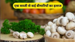 कैल्शियम और विटामिन बी12 से भरपूर है ये सब्जी, बॉडी के अंग-अंग को मिलेगी ताकत, एक्सपर्ट से जानिए फायदे