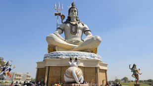 Sawan 2025 7 Sacred Flowers Beloved by Lord Shiva