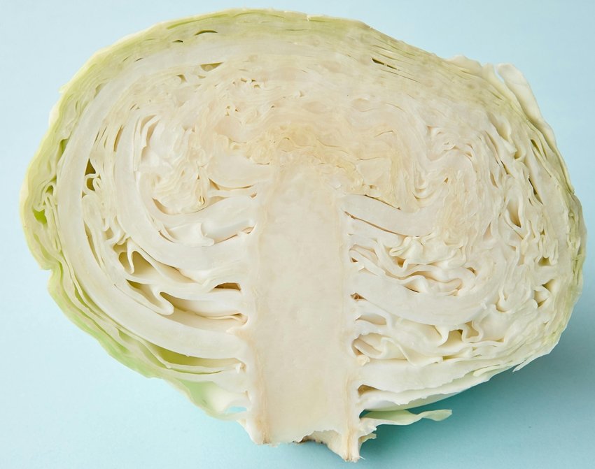 Scared to Eat Cabbage