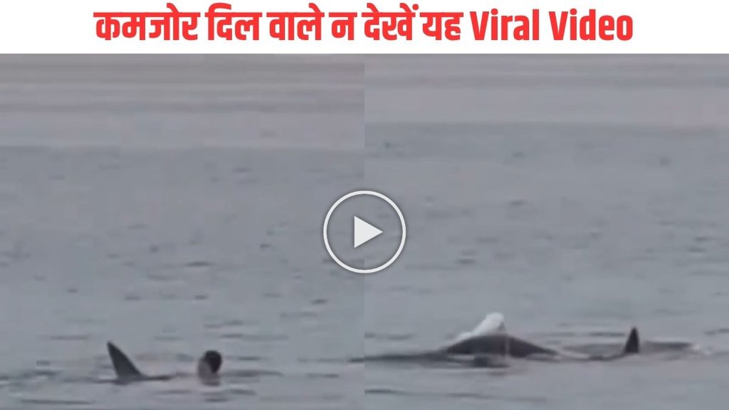 Viral Video,Trending Video, Trending news