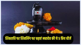 Shivling Par Kya Chadhaye, sawan shivratri 2025