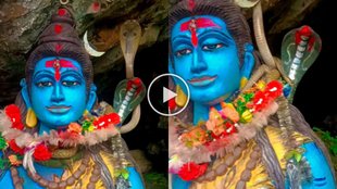 Viral Video| Trending Video| Viral Instagram Reels