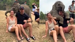 मैदान में आराम से बैठा था कपल, तभी आ गया हाथी का बच्चा और लगाने लगा गले, Viral Video देख खुश हो गया यूजर्स का दिल