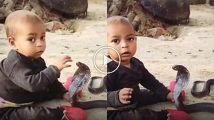Shocking video, snake viral video, shocking snake viral video