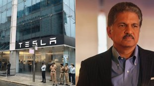 Anand Mahindra, Tesla, Elon musk