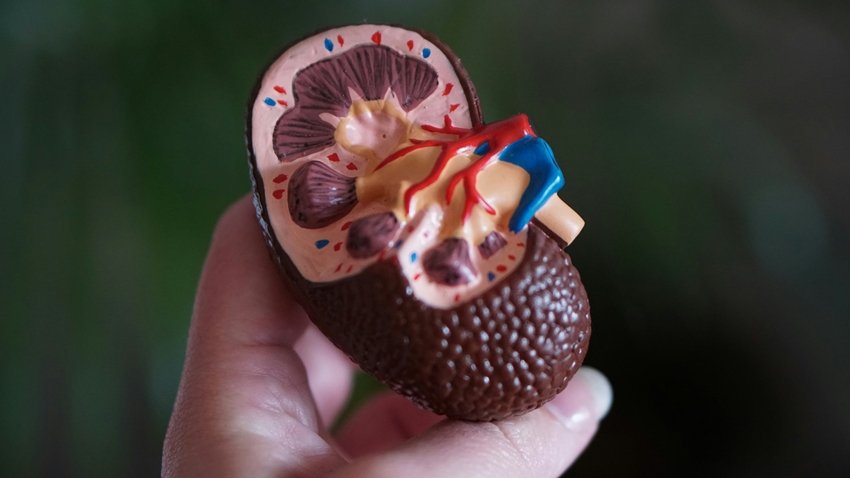 These Healthy and Processed Foods Might Be Hurting Your Kidneys Silently