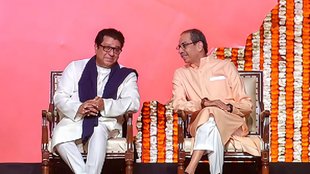 bjp | uddhav thackeray | raj thackeray