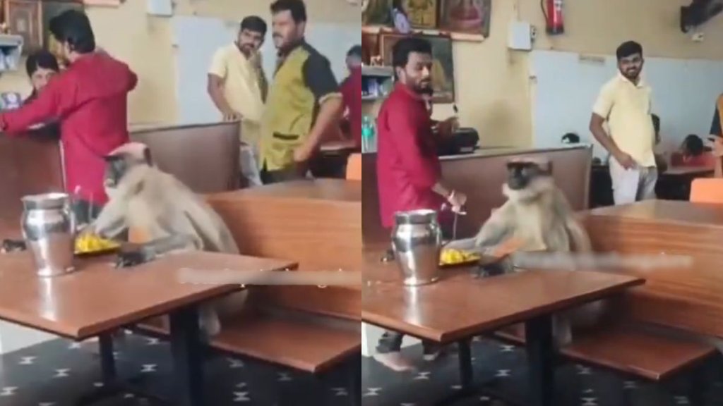 Viral Video| Trending Video| Viral Instagram Reels Viral Video| Trending Video| Viral Instagram Reels