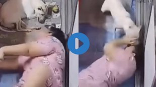 Viral Video, Trending Video, Shocking Video