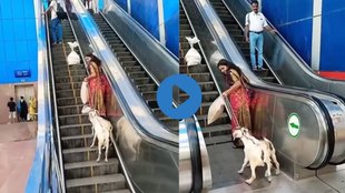 Viral Video, trending Video, Funny Video