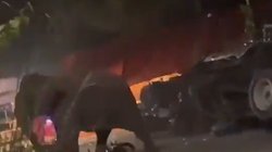 डीजे की तेज आवाज से हाथी को आया गुस्सा, कांवड़ियों के कैंप पर किया अटैक और फिर…, गजराज के आक्रोश का डराने वाला Viral Video