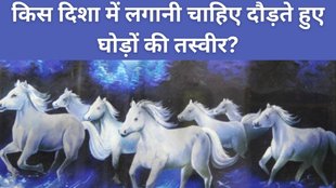 Vastu Tips, 7 running horses painting Vastu direction, Which direction to place 7 horses painting at home, 7 horses painting Vastu benefits, Correct position for 7 horses picture in house, Best direction for 7 horses painting as per Vastu, Where to hang 7 running horses painting in home, Vastu rules for 7 horse photo placement, 7 horses wall art for wealth and success