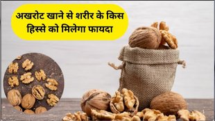 Walnuts Health Benefits, walnuts benefits, akhrot khane ke fayde, akhrot ke fayde, walnuts benefits