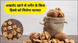 अखरोट खाने से बॉडी के कौन से अंग को मिलता है सबसे ज्यादा फायदा, एक्सपर्ट ने बताए फायदे और कैसे करें इस्तेमाल