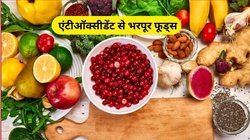 सैकड़ों बीमारियों का खातमा करेंगे एंटीऑक्सीडेंट से भरपूर ये 5 फूड्स, ब्लड शुगर भी रहेगा कंट्रोल, एक्सपर्ट से जानिए फायदे