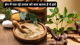 Ashwagandha Benefits, Ashwagandha herbs, how to consume Ashwagandha, reduce stress, Ashwagandha for infertility improve,Ashwagandha for diabetes control
