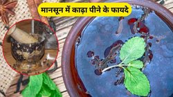 रोज खाली पेट तुलसी और काली मिर्च का काढ़ा पीना सेहत के लिए है फायदेमंद, इन 3 बीमारियों से मिल सकती है छुट्टी, जानिए कैसे