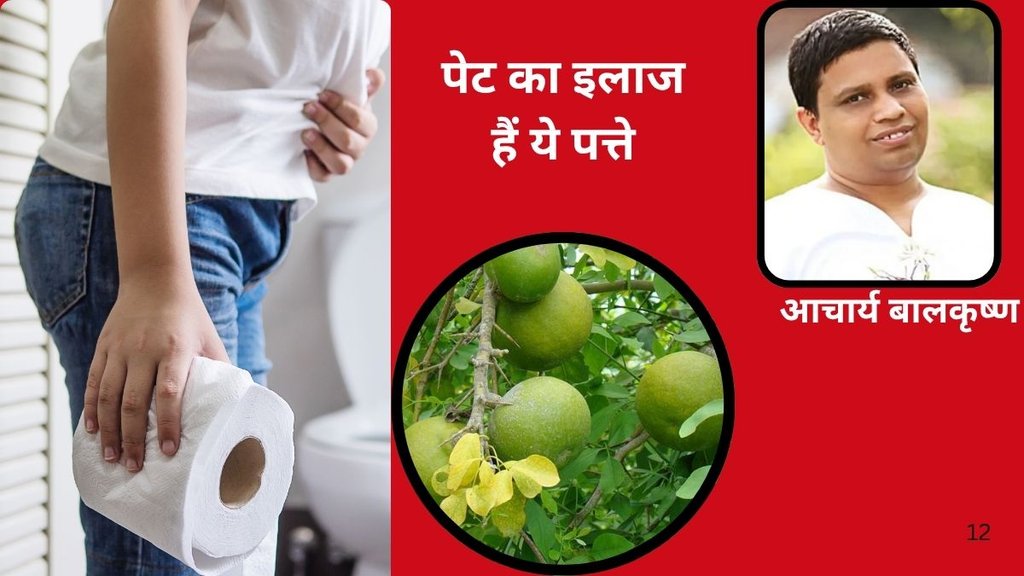 Is bael Patra good for constipation,This is why you must have Bael Patra in summers daily,Reasons why you must have Bael Leaves daily,Boosts immunity,Get rid of stomach problems,