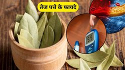 कोलेस्ट्रॉल और डायबिटीज का ‘काल’ है ये पत्ता, वजन भी तेजी से होने लगेगा कंट्रोल, एक्सपर्ट ने बताया कैसे करें इस्तेमाल