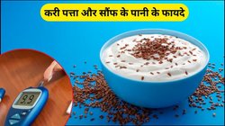 दही के साथ मिलाकर खाएं ये बीज, वजन घटाने से लेकर डायबिटीज तक रहेगा कंट्रोल, आसपास भी नहीं भटकेंगी बीमारियां