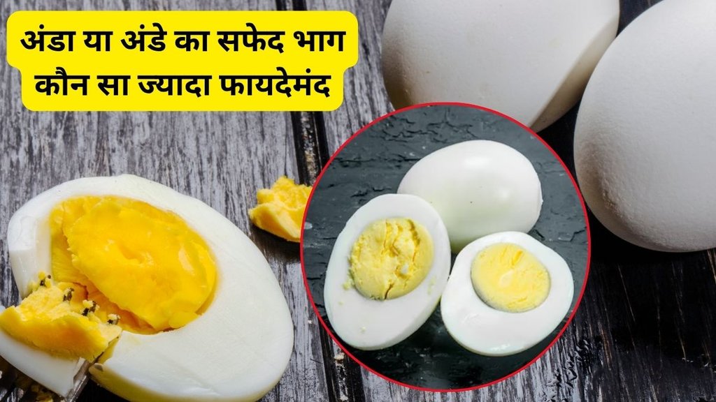 whole eggs for muscle growth, benefits of egg yolks, nutritional value of eggs, egg whites vs whole eggs, protein absorption eggs