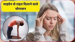 माइग्रेन कर रहा है परेशान तो रोजाना सिर्फ 10 मिनट कर लें ये 3 योगासन, दर्द के साथ-साथ कई बीमारियां हो सकती हैं छूमंतर