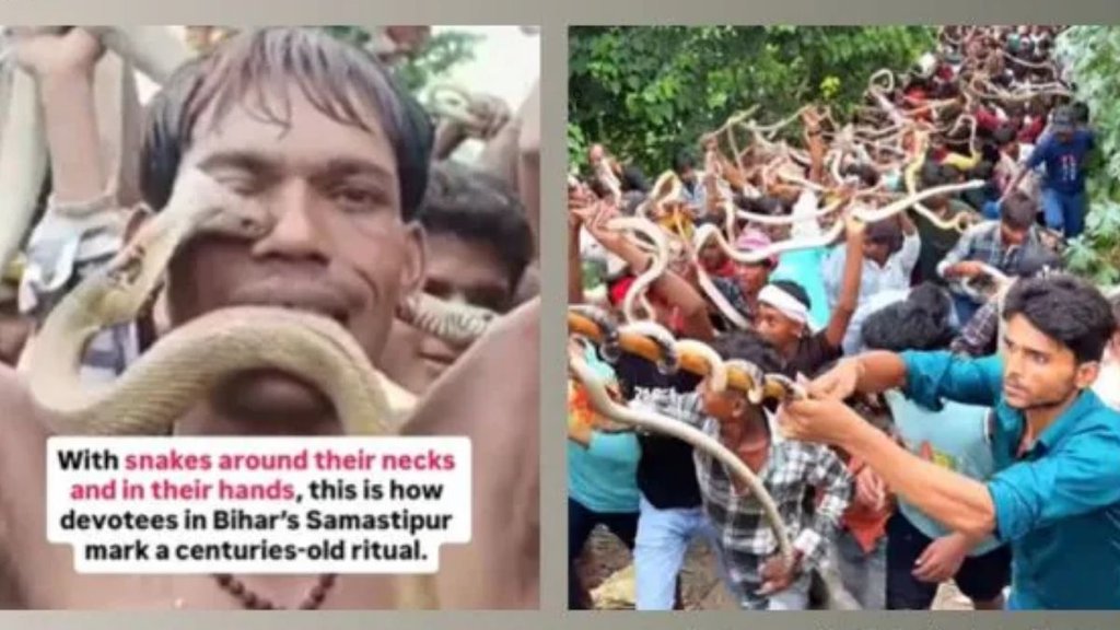 Bihar Nag Panchami, Nag Panchami viral video, Bihar people carrying snakes