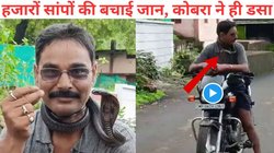 कोबरा को गले में लपेटकर बाइक चला रहा था सर्पमित्र, जहरीले सांप ने अचानक डसा, हुई ऐसी मौत, देखने वालों के खड़े हो गए रोंगटे