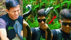 कोबरा के साथ मजाक करना पड़ा भारी, नाग ने मुंह पर उगला जहर, शख्स लगा छटपटाने और… रोंगटे खड़े करने वाला Video Viral