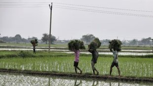congress | madhya pradesh | farmers income |