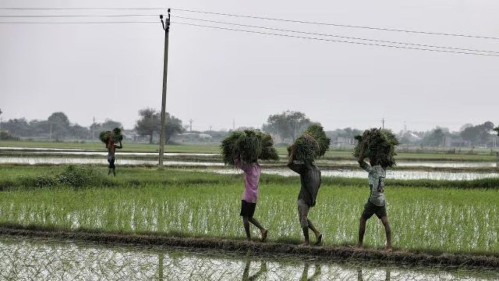 congress | madhya pradesh | farmers income |