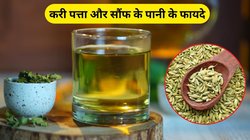 रोज सुबह करी पत्ता और सौंफ का पानी पीने से सेहत को मिलेंगे कमाल के फायदे, ब्लड शुगर से लेकर पाचन तंत्र भी रहेगा हेल्दी