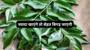 Who should avoid curry leaves, Are curry leaves safe to eat raw,CURRY LEAVES, FOOD, SIDE EFFECTS OF CURRY LEAVES, CURRY LEAVES IN COOKING