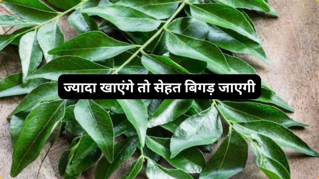 Who should avoid curry leaves, Are curry leaves safe to eat raw,CURRY LEAVES, FOOD, SIDE EFFECTS OF CURRY LEAVES, CURRY LEAVES IN COOKING