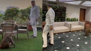 delhi secretariat| monkey entry| parvesh varma