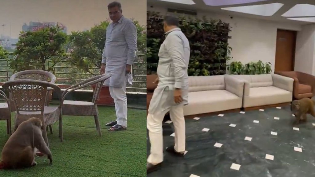 delhi secretariat| monkey entry| parvesh varma