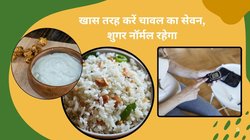 डायबिटीज मरीज चावल के साथ कॉम्बो में दही और नट्स खाएं, Sugar स्पाइक का नहीं रहेगा खतरा, सुपरकॉम्बो से बॉडी में लबालब भरेगी एनर्जी