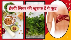 लिवर को डैमेज होने से बचाते हैं ये 4 फूड, रोज खाएं तो जिगर की हो जाएगी सफाई, बॉडी में जमा सारे टॉक्सिन भी निकल जाएंगे बाहर