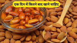 एक दिन में कितने बादाम खाने चाहिए, ज्यादा खाने से सेहत पर होते हैं ये 5 साइडइफेक्ट