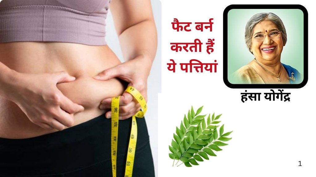 weight loss tips in hindi, Curry leaves for weight loss, kadhi patta benefits, kadhi patta in weight loss, Curry leaves in weight loss