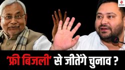 Bihar News: चुनाव में जीत के लिए ‘फ्री बिजली’ के भरोसे क्यों हैं राजनीतिक दल, सोलर पैनल क्या इस राजनीति को खत्म कर देगा?