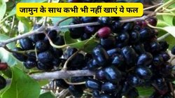 जामुन के साथ भूलकर भी नहीं खाएं ये 5 फल, शरीर को फायदे की जगह मिलेंगे खतरनाक नुकसान, एक्सपर्ट से जानिए साइडइफेक्ट