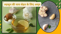 Benefits Of Drinking Garlic Tea: रोज़ एक कप लहसुन की चाय का सेवन कैसे संजीवनी होगा साबित, जानिए