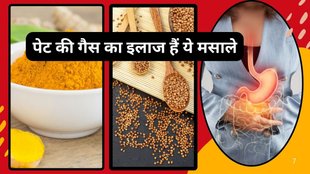 Gut health, turmeric, moringa, fennel seeds, herbal remedies, gastroenterology, indianexpress.com, gut health news, herbs news