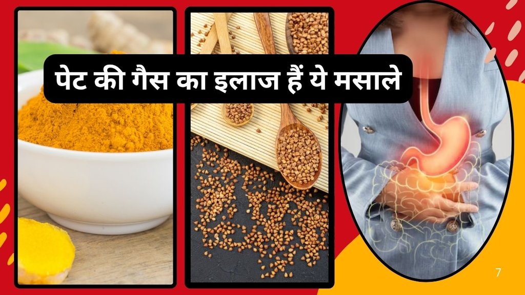 Gut health, turmeric, moringa, fennel seeds, herbal remedies, gastroenterology, indianexpress.com, gut health news, herbs news