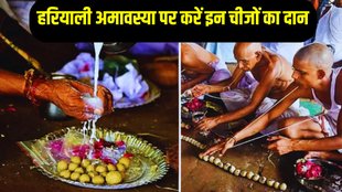 Hariyali Amavasya Daan, Hariyali Amavasya 2025