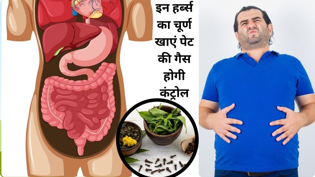 amla, Ushir, Rock salt, Sugar, Giloy, Dry Coriander Churna and Fennel seeds, Ayurveda for acidity, acidity relief, pitta dosha,